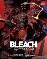 Bleach, l'anime